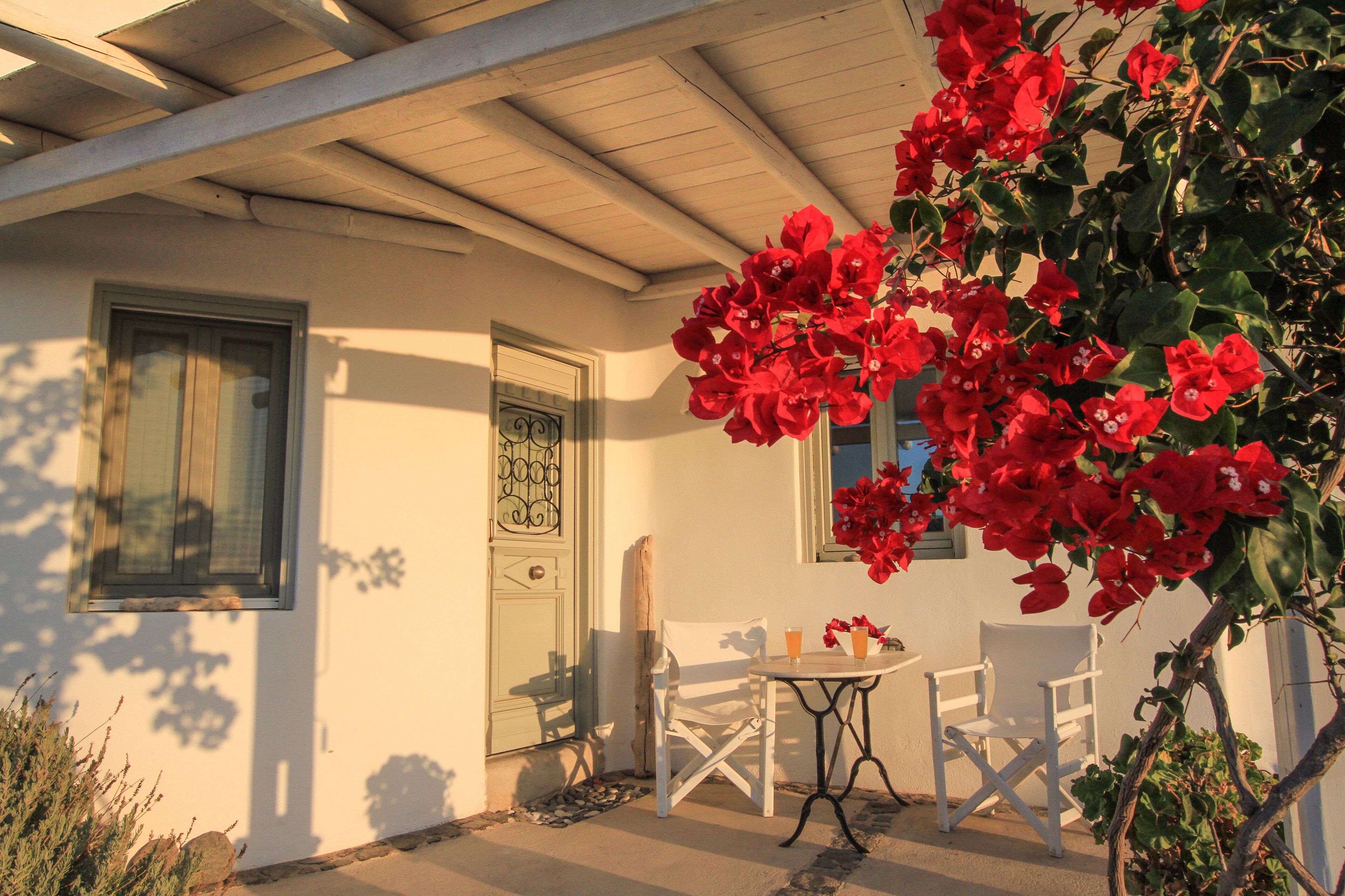 テラス / パティオ