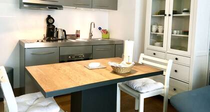 Deluxe Apartment am Rathaus 45qm