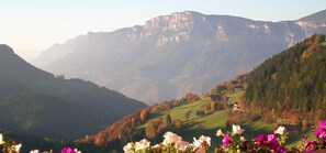 Miscellaneous - Apartment "Lingerhof - Alpenrose" with Mountain View, Shared Garden & Wi-Fi (Mölten)