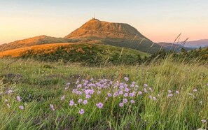 A hill with a structure on top, surrounded by green grass and purple flowers. - Lodge Escale 4 (NÉBOUZAT)