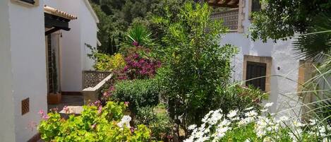 Um pátio com edifícios brancos, vegetação exuberante e plantas floridas.