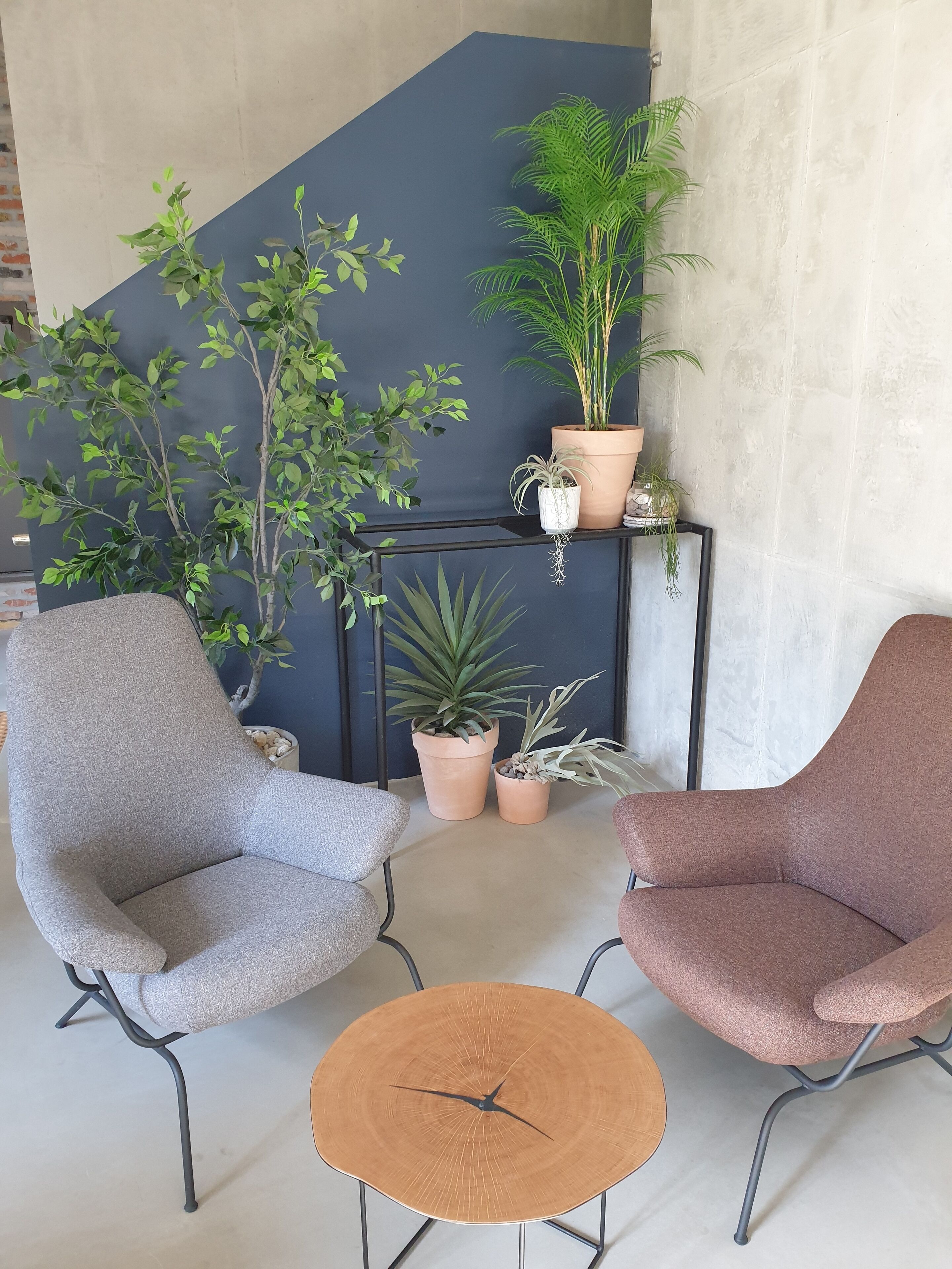 Foto - Junibino Hotel Hongdae