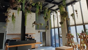 A modern interior with hanging plants, a brick wall, and large windows. - JUNIBINO HOTEL Hongdae (Seoul)