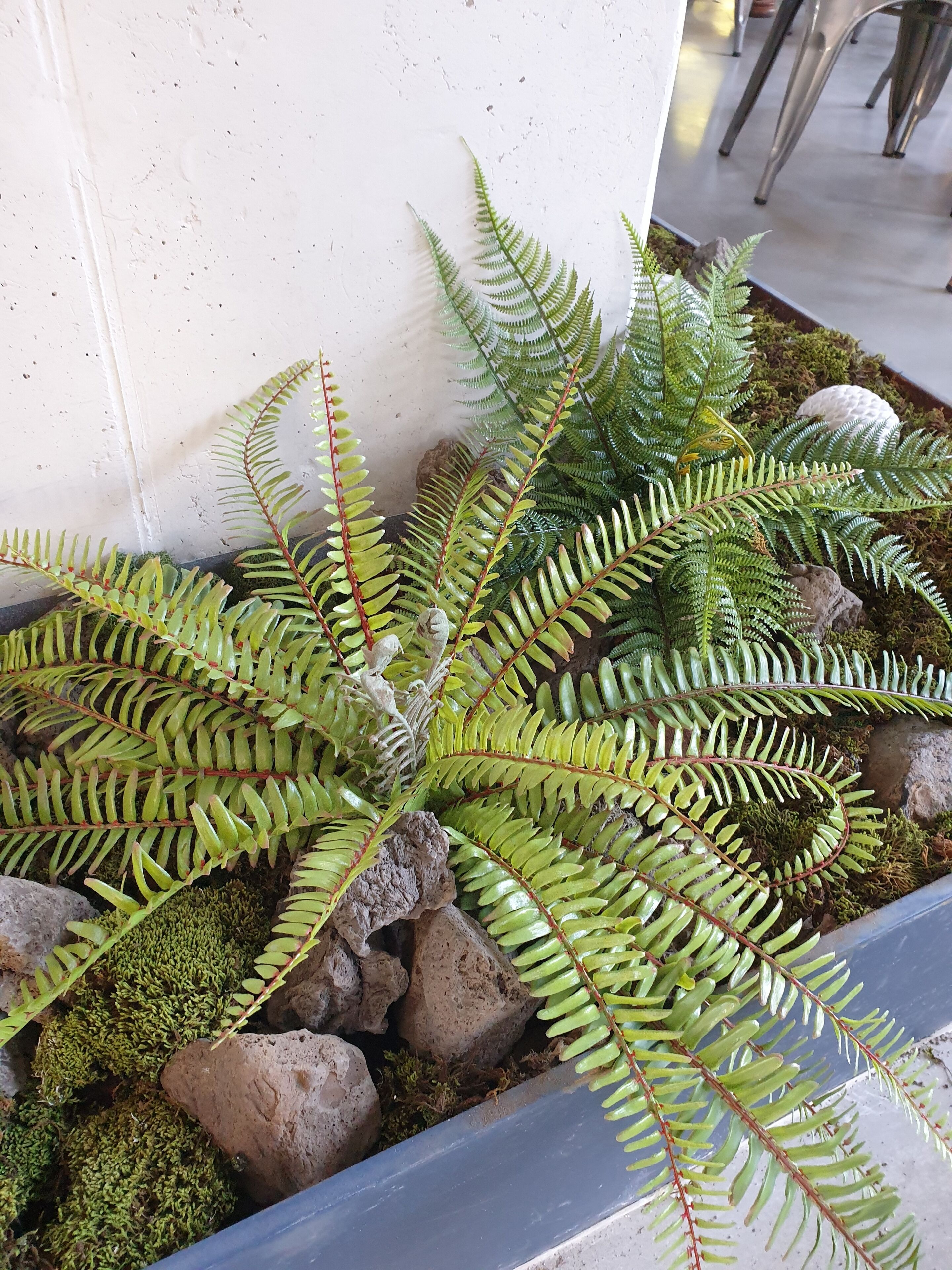 Foto - Junibino Hotel Hongdae