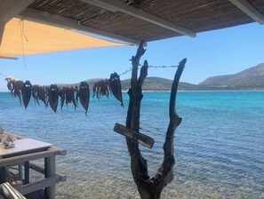 Ubicación cercana a la playa y toallas de playa