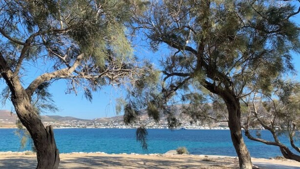 A coastal landscape with trees and a clear view of the sea. - Traditional Cycladic house in the heart of Parikia with garden.  (Paros)