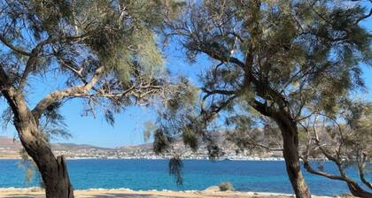 Traditional Cycladic house in the heart of Parikia with garden.
