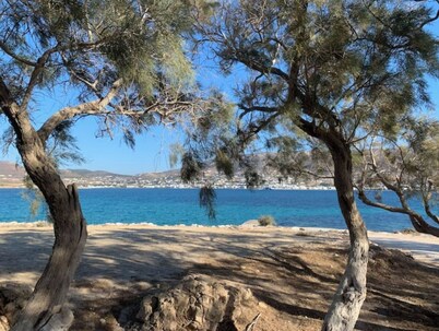 Traditional Cycladic house in the heart of Parikia with garden. 