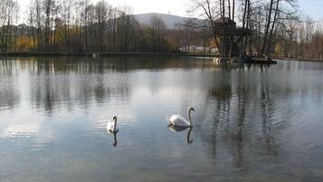 Enceinte de lâhĂ©bergement