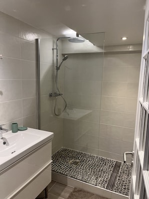 Shower, hair dryer, toilet paper