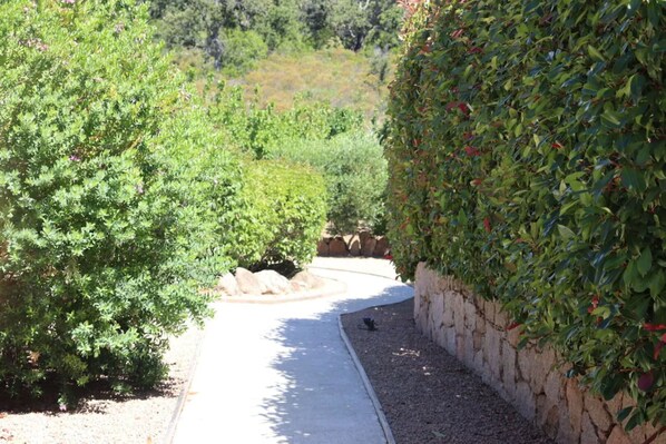 A pathway flanked by lush greenery and a stone wall. - Villa Méditerranée & Private Pool & Santa Giulia (Porto-Vecchio)