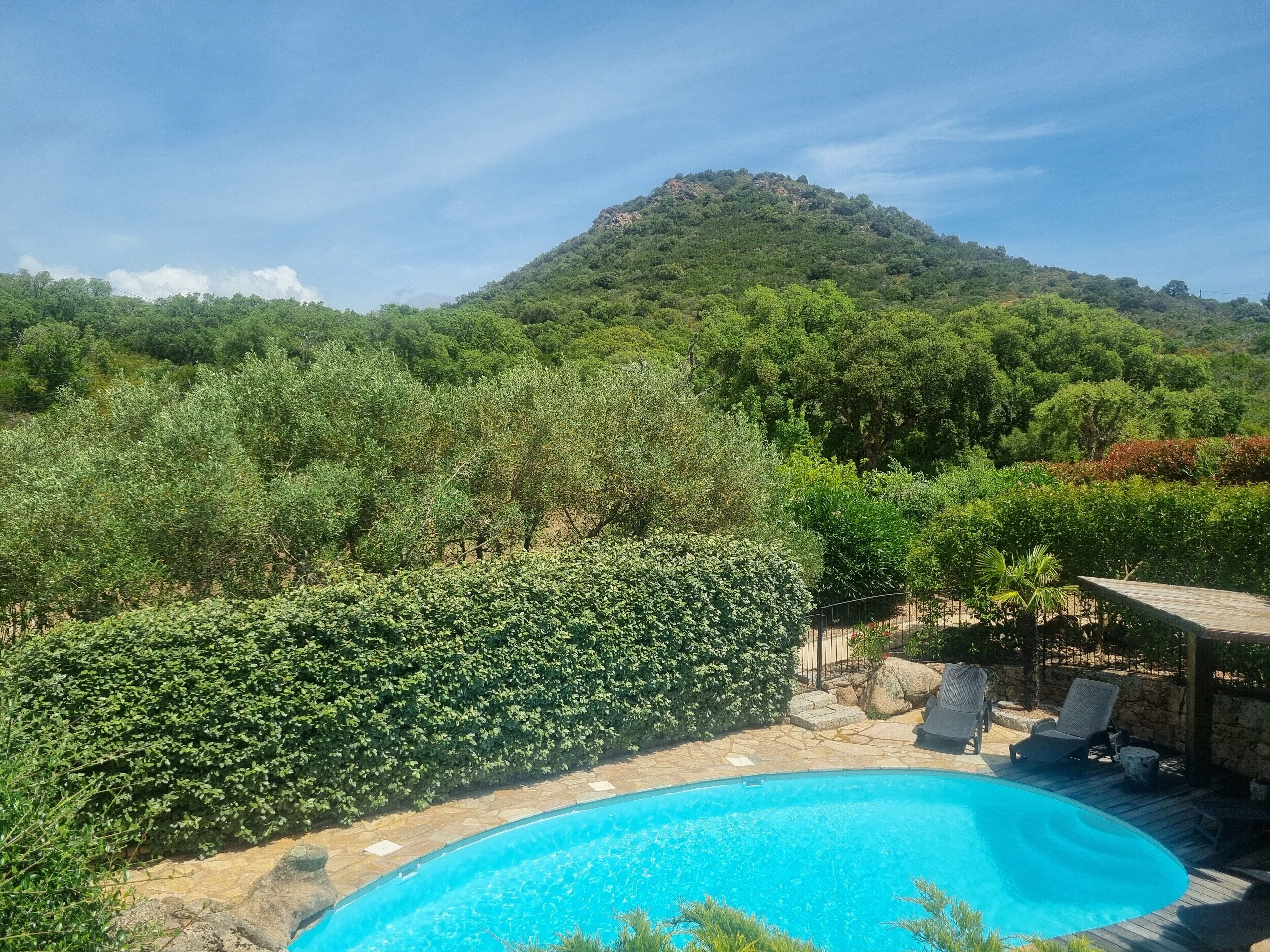 A swimming pool surrounded by lush greenery and a mountain in the background.