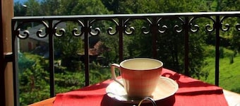 Borgo VII Apartment - Lake Como