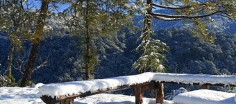 farmhouse & treehouse surrounded with orchids with mountain valley and city view