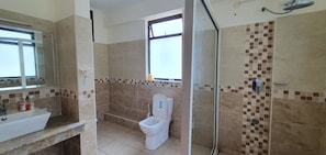 A bathroom with a toilet, a shower, a sink, and a window.