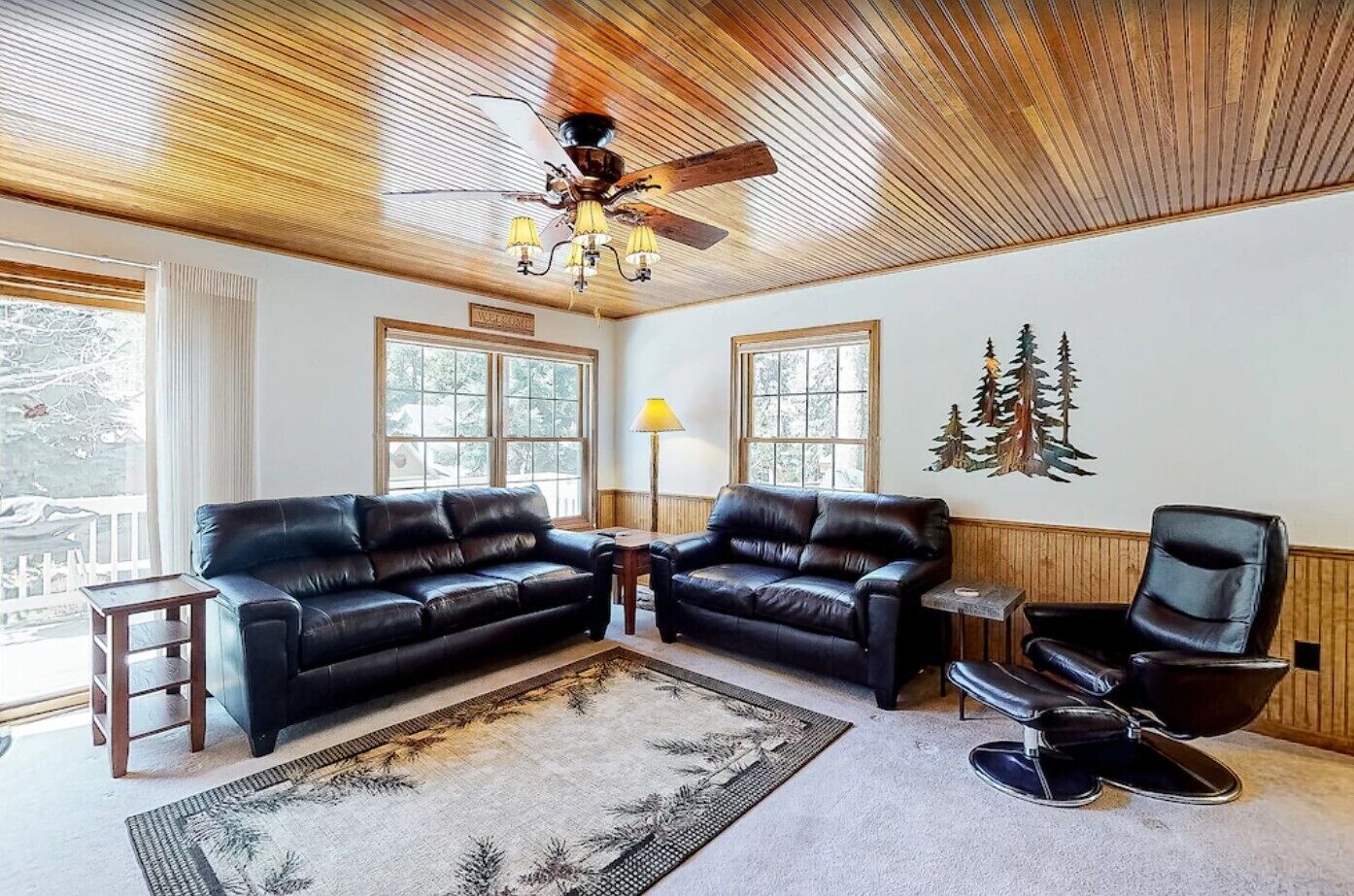 Smart TV, fireplace, DVD player, video library