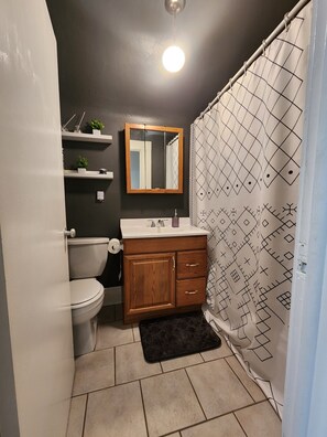 A bathroom with a toilet, wooden cabinet, mirror, and patterned shower curtain. - Beautiful 120 year old home in downtown Kansas City. (Kansas City)