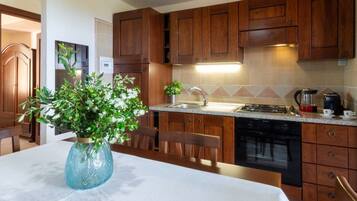 Horno, placa de cocina, utensilios de cocina