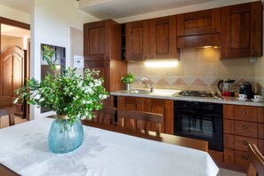 Oven, stovetop, cookware/dishes/utensils