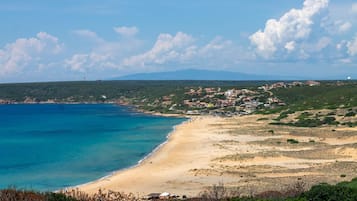Playa en los alrededores