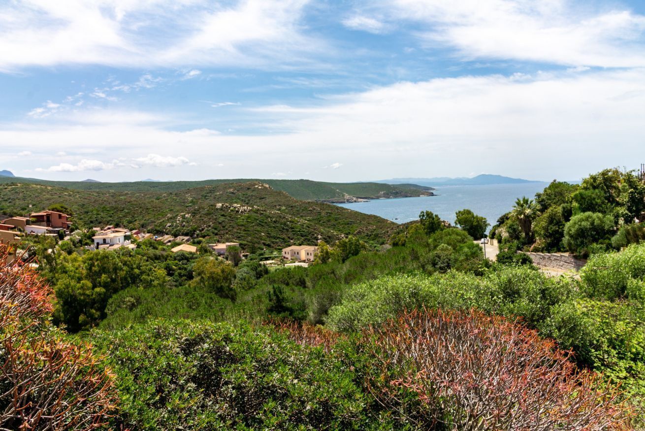 A coastal landscape with houses and greenery, a clear sky, and a view of the sea.