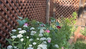 A garden with a wooden lattice fence and a variety of flowers.