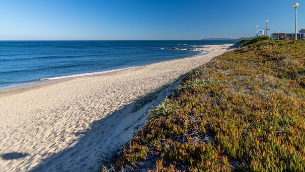 A beach with clear blue water, sandy shore, and some vegetation. - Modern 3BD Ocean View Apartment (Póvoa de Varzim)
