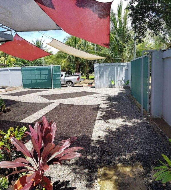 Stroll through a serene outdoor space with a paved pathway and lush greenery.