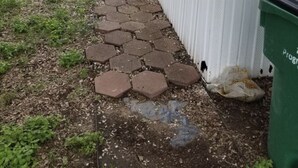 Polku johtaa rakennukseen, jonka ympärillä on valkoinen aita ja edessä puinen terassi.