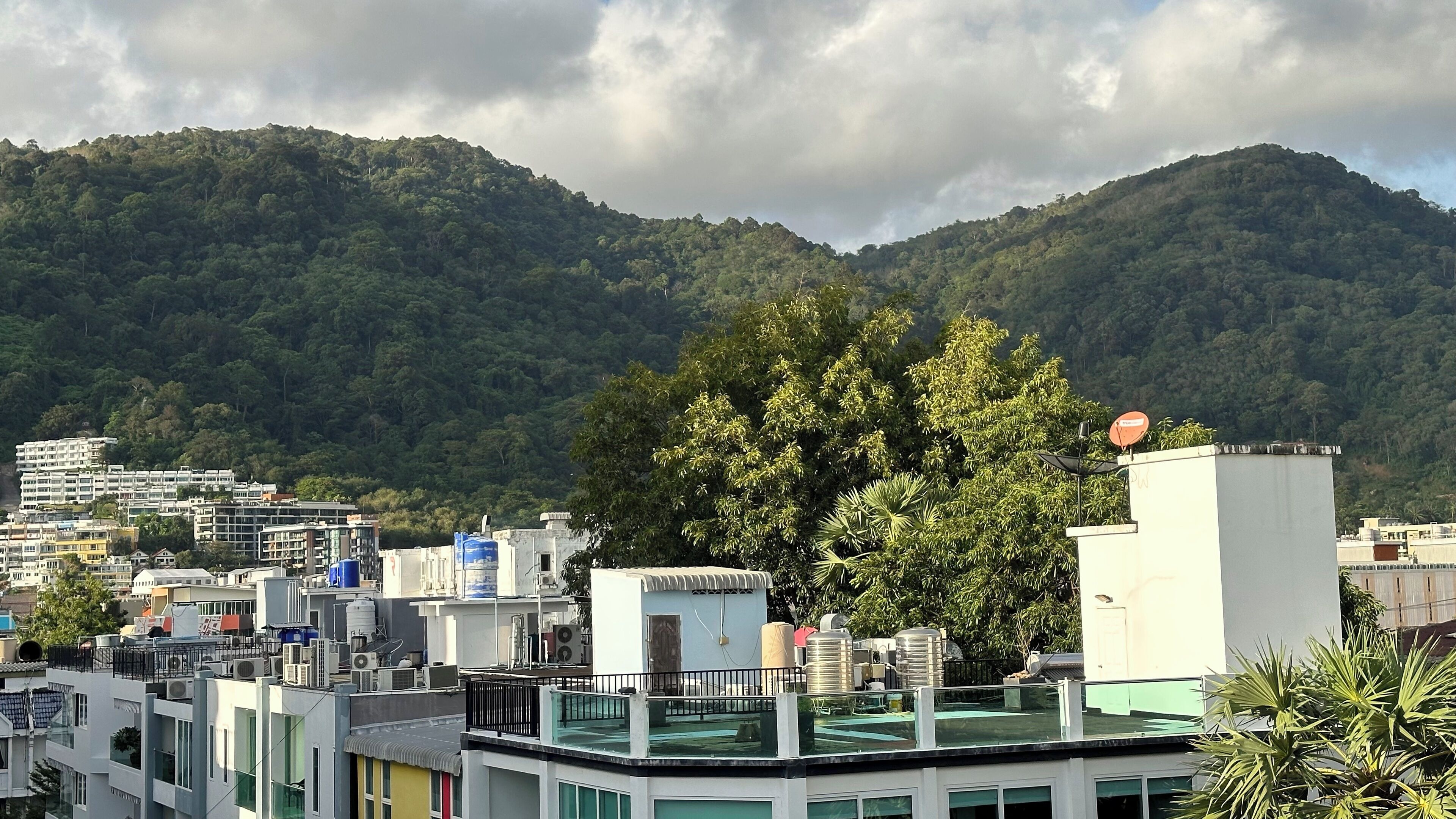 A residential area with modern buildings, a large tree, and a mountain in the background.