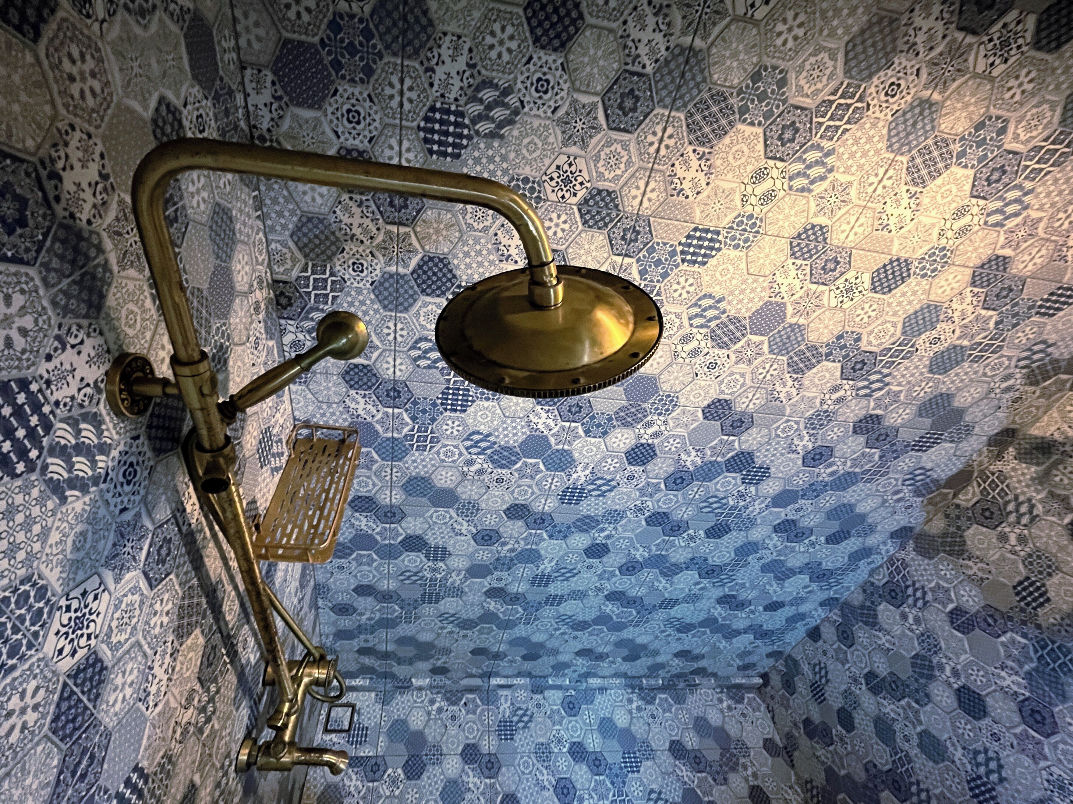 Un baño con ducha y grifo de bronce.