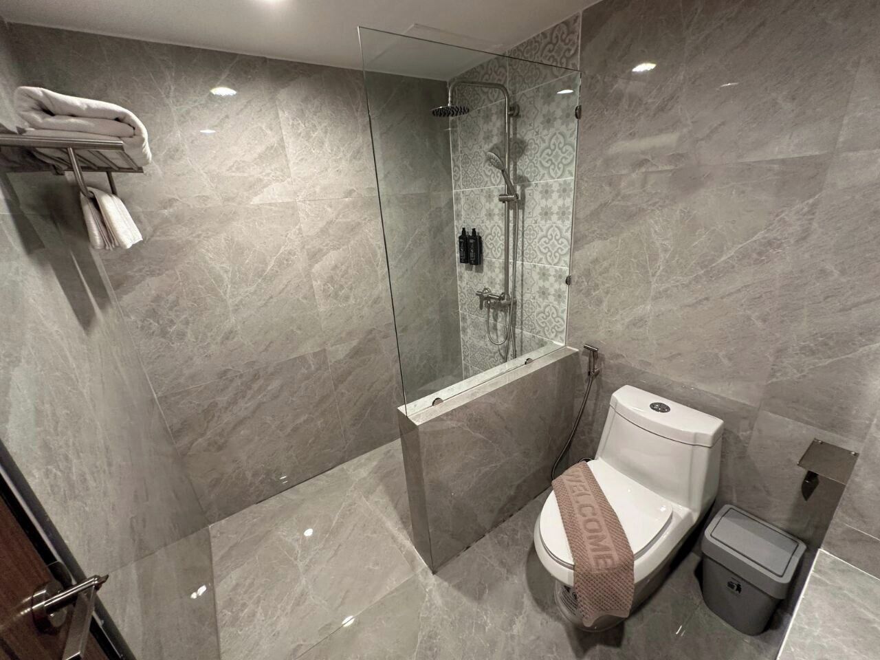 A modern bathroom with a glass-enclosed shower, a toilet, and a towel rack.