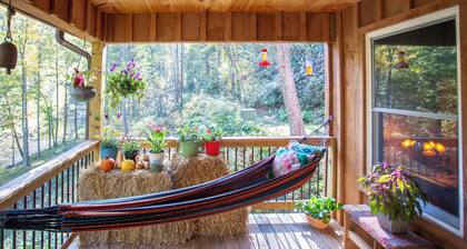 River cabin on 45 acres of private mountain land pet friendly.