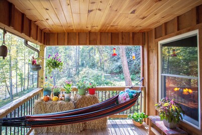 River cabin on 45 acres of private mountain land pet friendly.