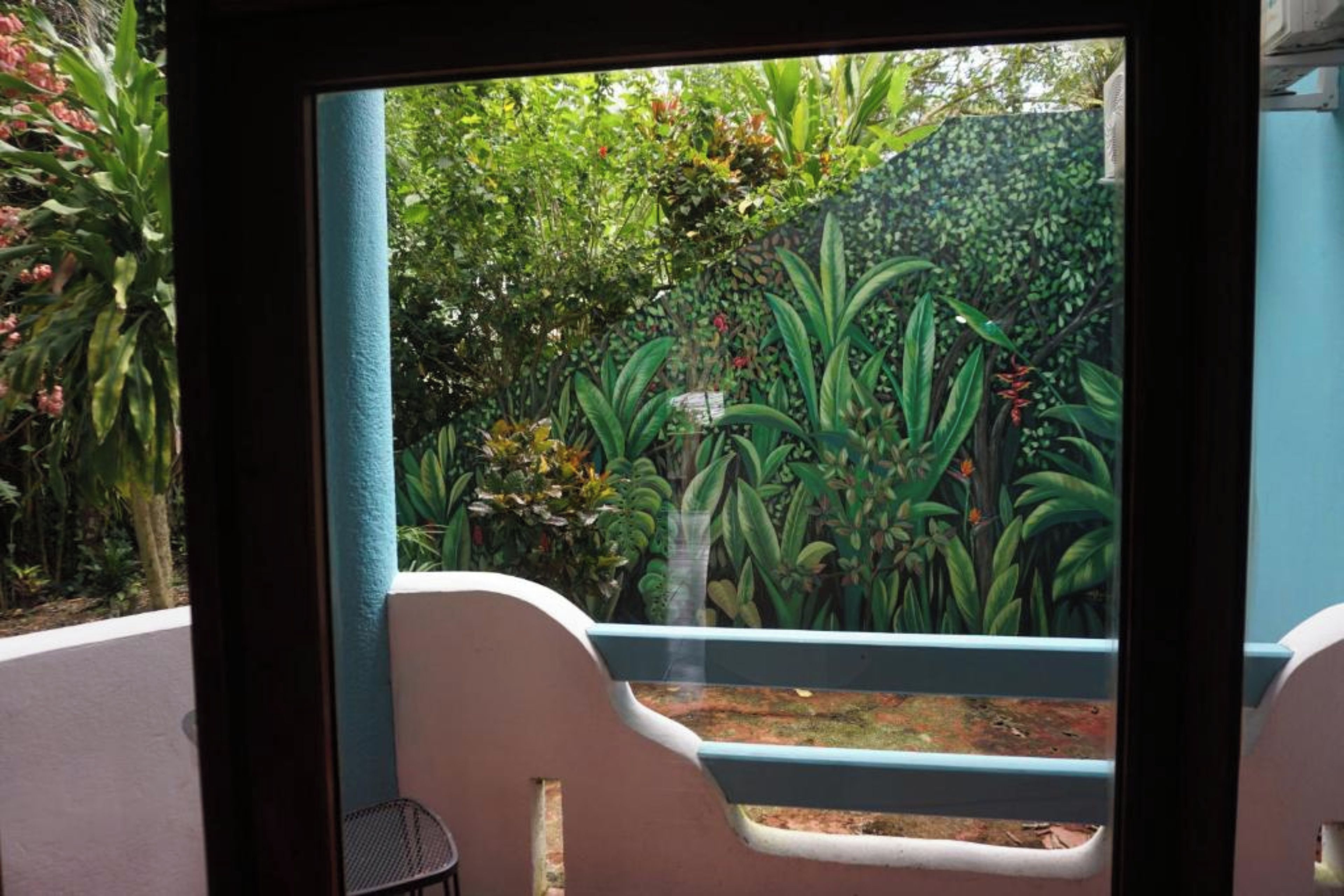 A view through a window with a blue wall and a small garden area with various plants and a bench.