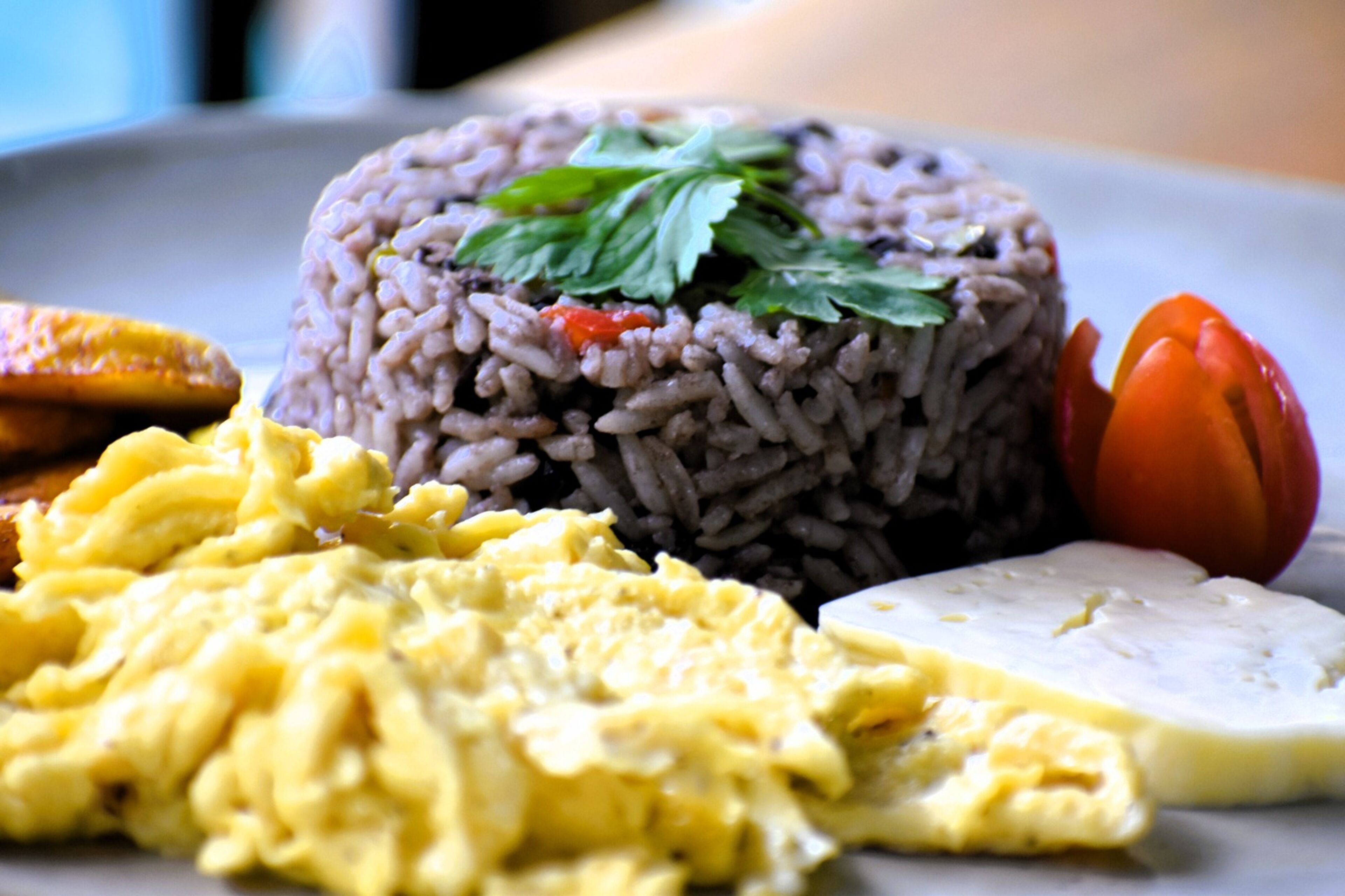 Photo - Hotel Planeta Sano