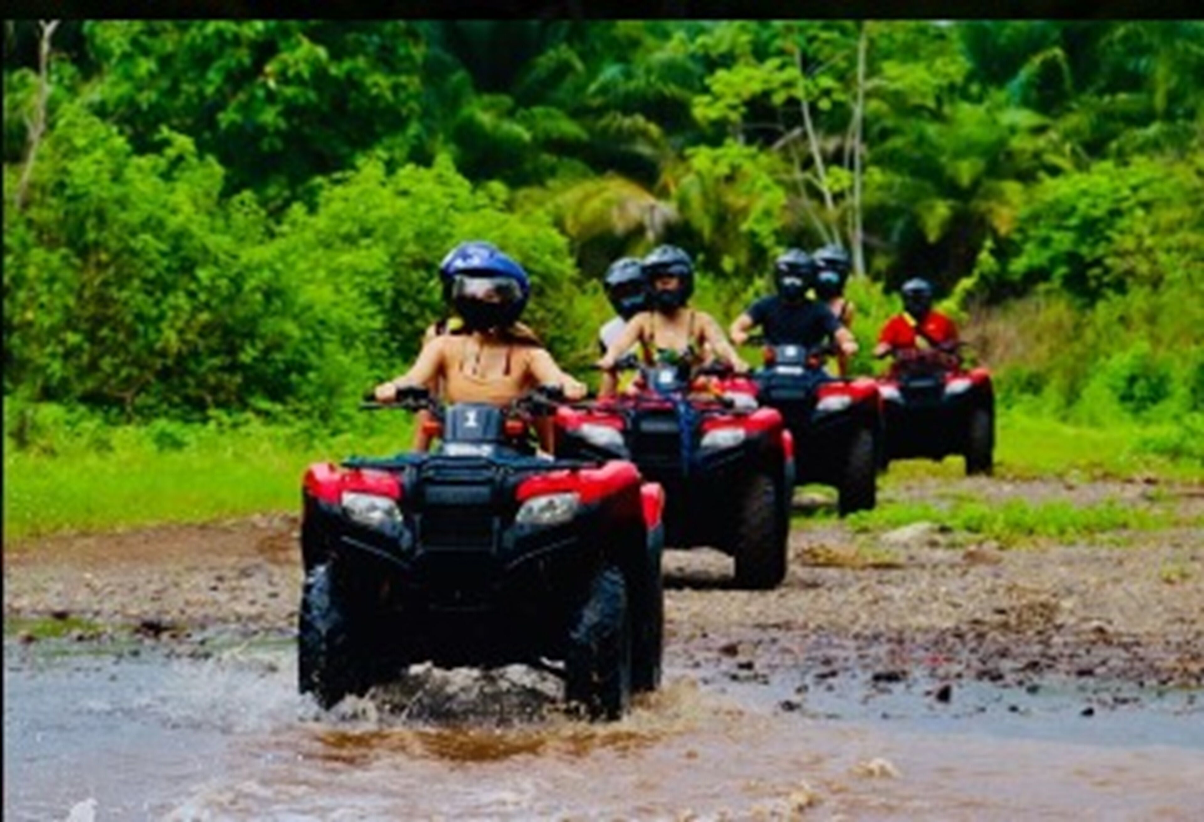 Photo - Hotel Planeta Sano