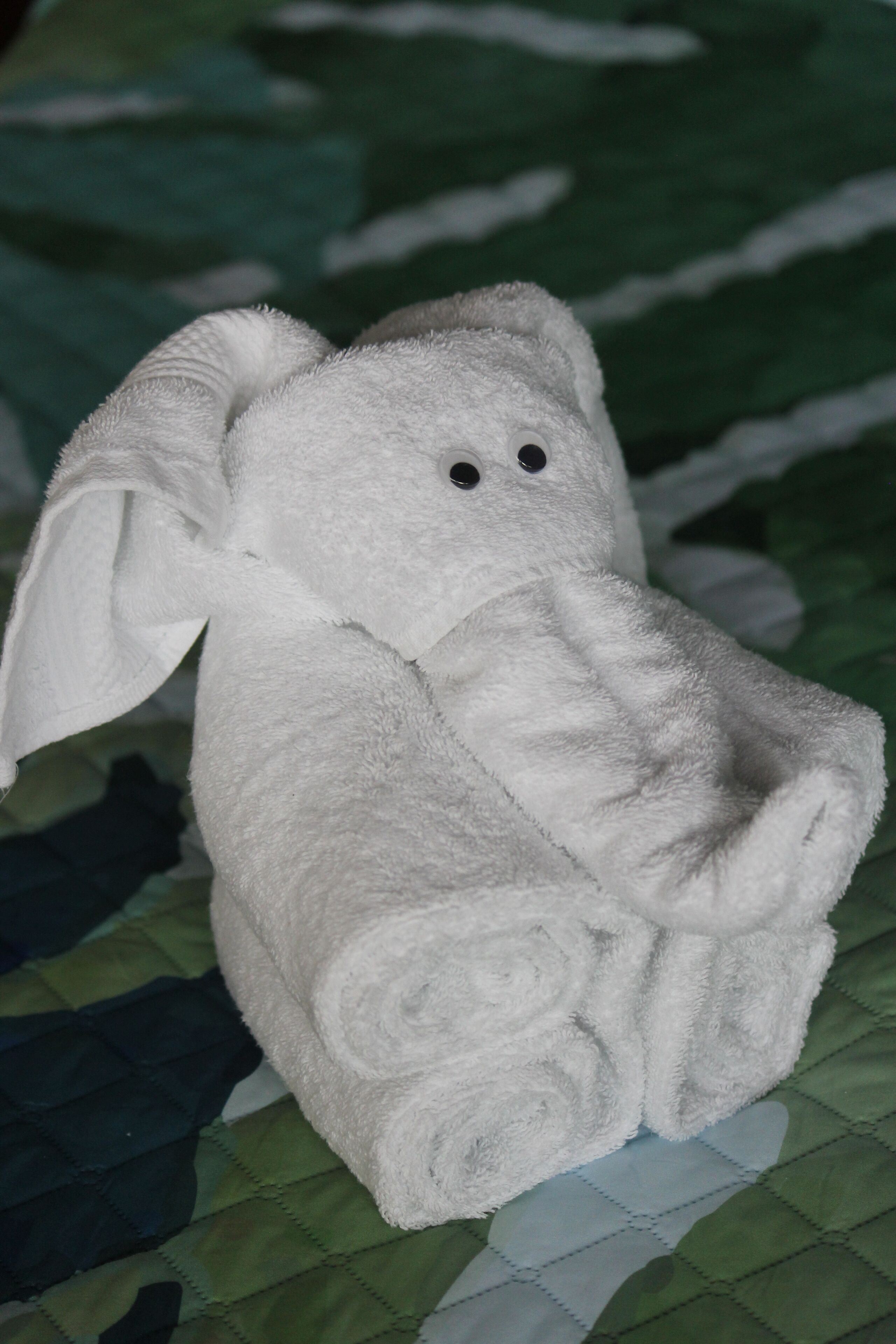 Photo - Hotel Planeta Sano