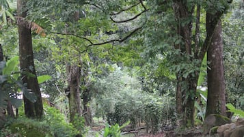 Caminatas