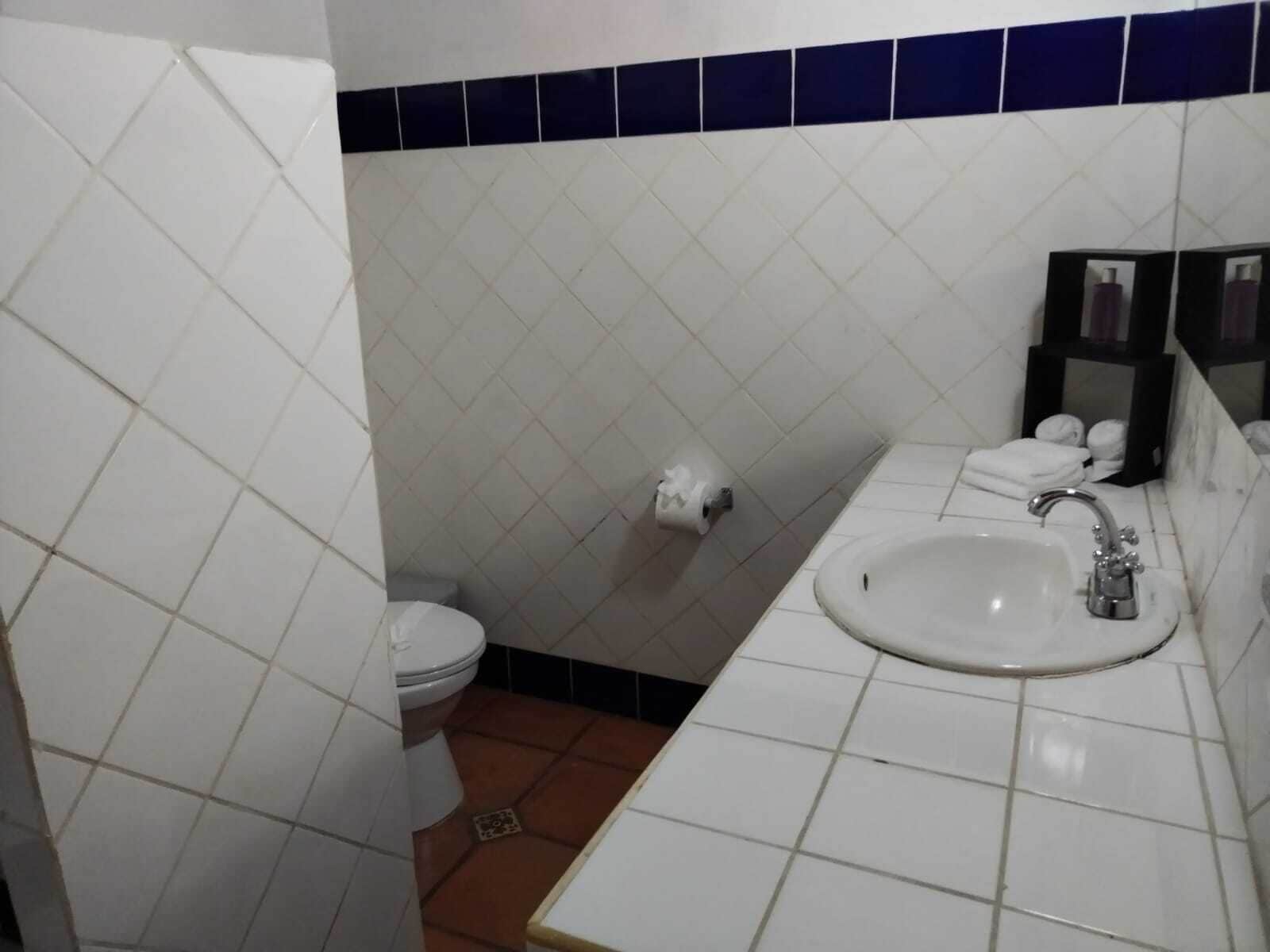 Photo - Hotel Planeta Sano