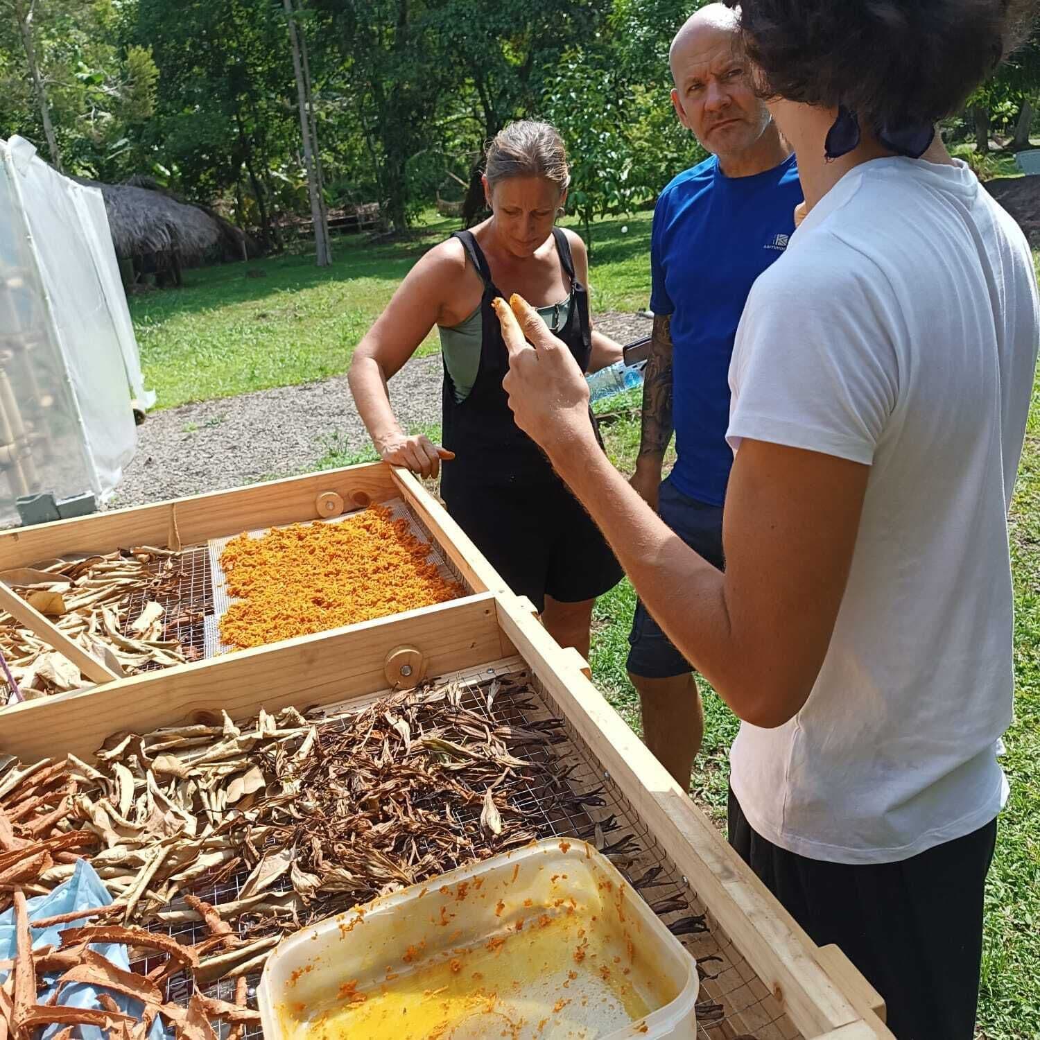 Photo - Hotel Planeta Sano