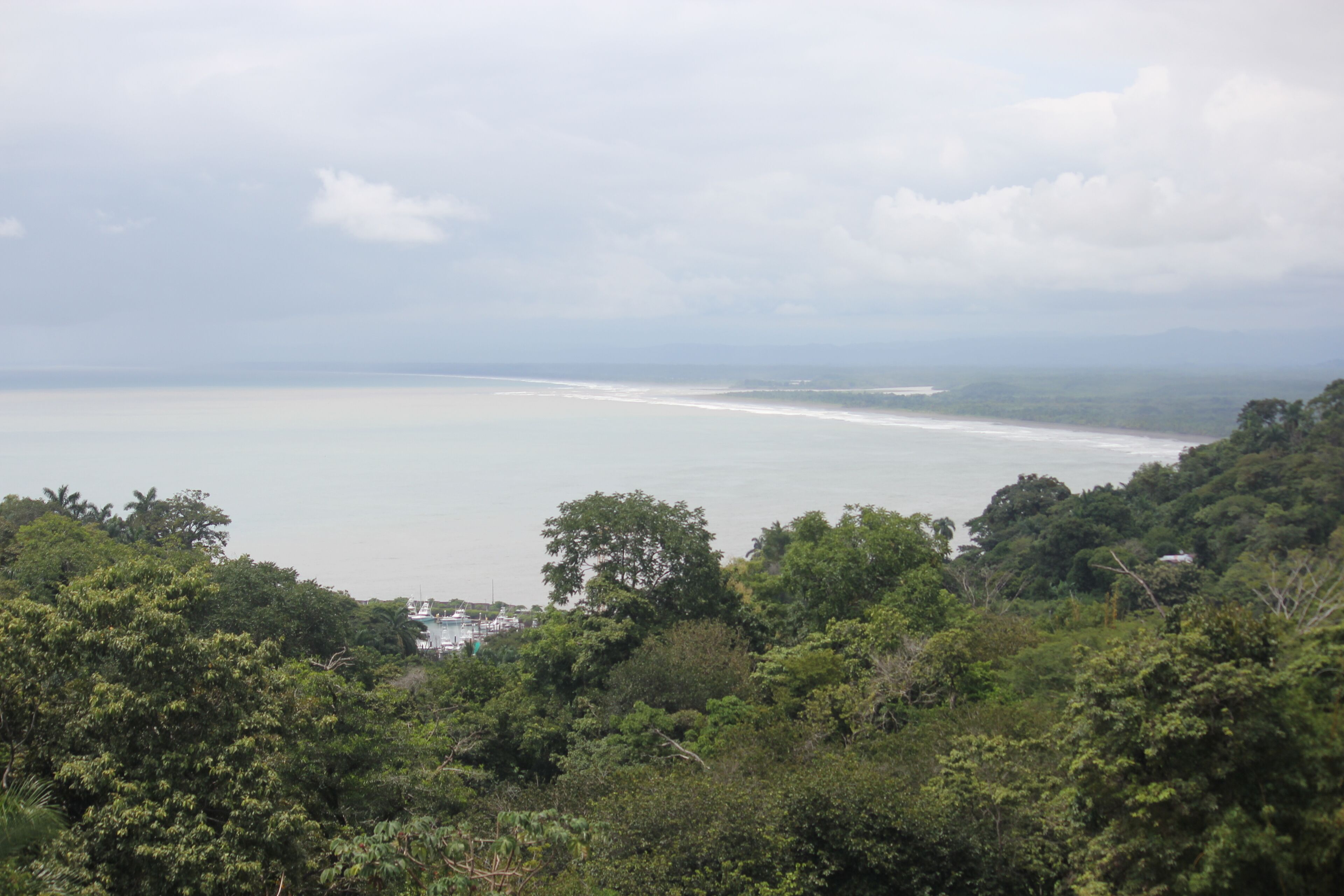 Photo - Hotel Planeta Sano