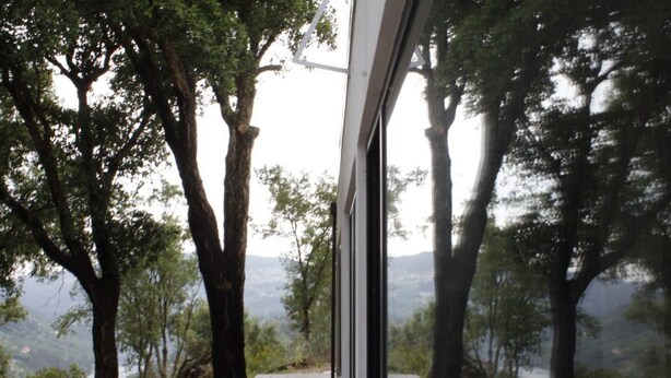 Un sentiero costeggiato da alberi secolari conduce a una porta in vetro, con vista su un paesaggio montuoso.