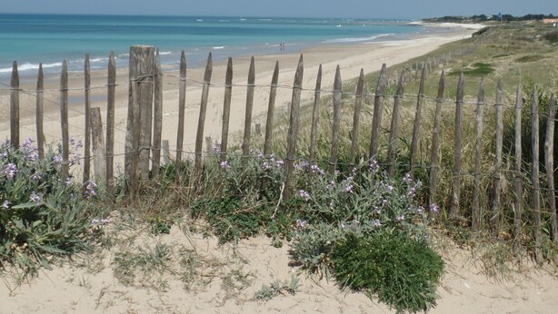 A beach with a wooden fence and sparse vegetation in the foreground. - Maison 60 Mètres mer et Plage (Saint-Denis-d'Oléron)