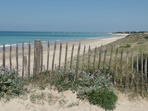 Une plage avec une clôture en bois et une végétation clairsemée au premier plan.