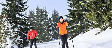 Deportes de invierno y ski