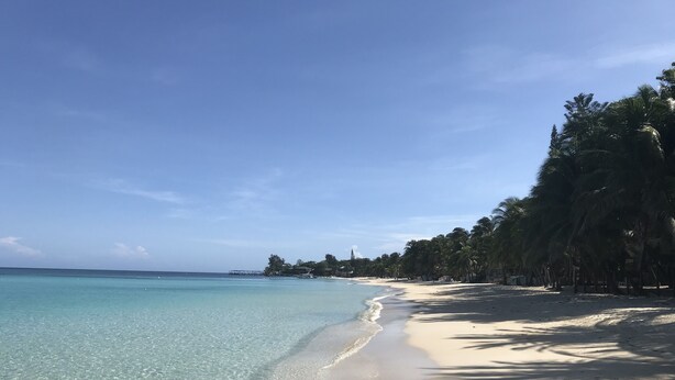 A beach with clear turquoise water, a sandy shore, and palm trees.