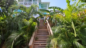 A wooden staircase surrounded by lush tropical foliage leading to a building with a white exterior and blue accents.