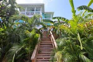 Stroll up the staircase surrounded by lush tropical foliage to a charming building with a balcony and ceiling fan.