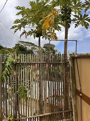 Property grounds - Affordable, cozy 1 bedroom villa (Aux cap)